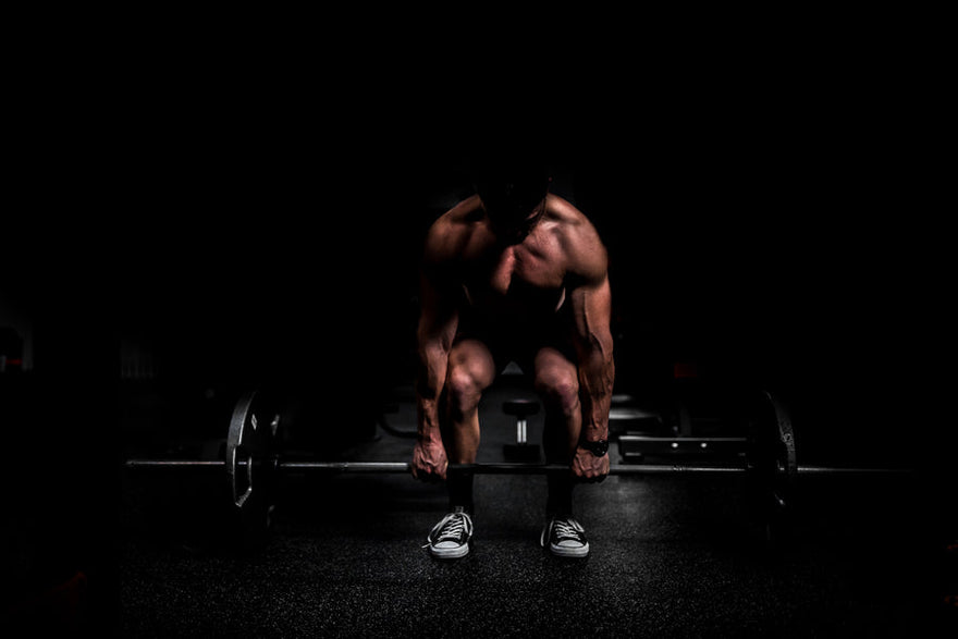 The Ultimate Guide to Getting Started with Blackstone Labs Products