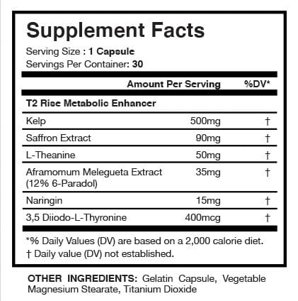 T2 Non Stim Fat Burner/Fat Metabolizer