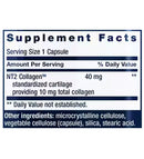 NT2 Collagen-2