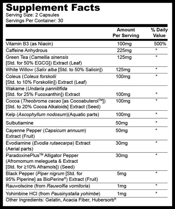Slyce Fat Burner